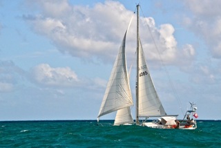 alua-584.jpg
